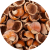 Nut Shell